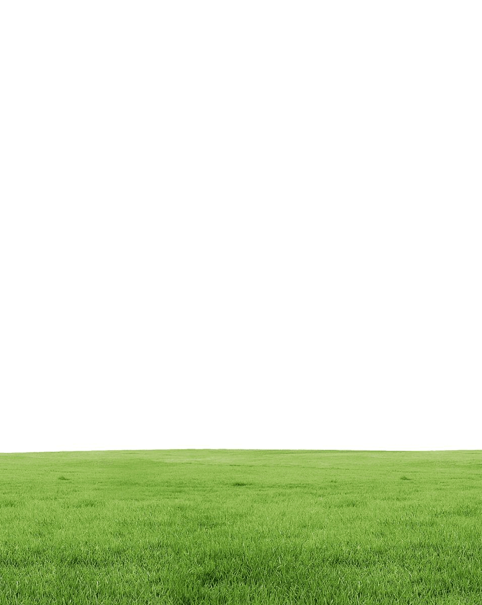 Grow Into Your Throne